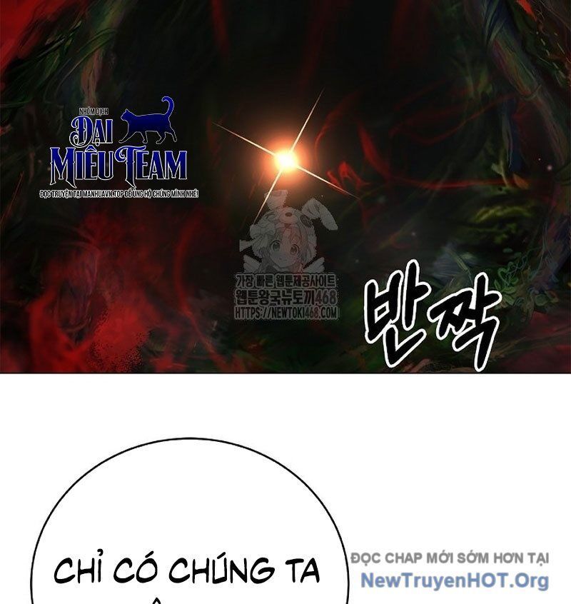 Chương 203