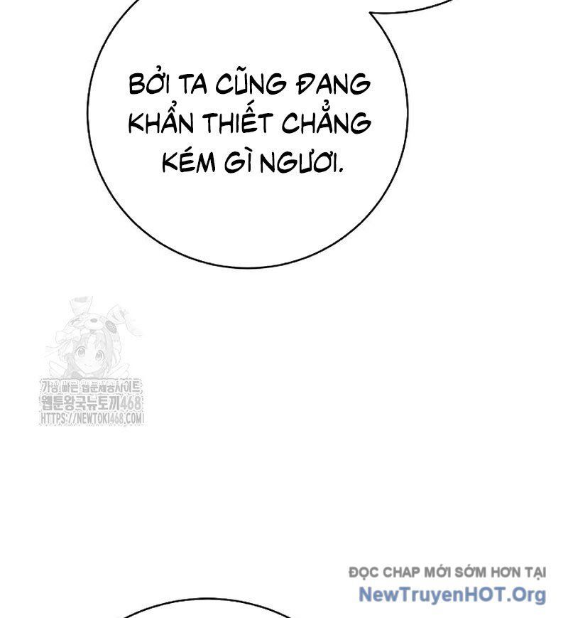 Chương 204