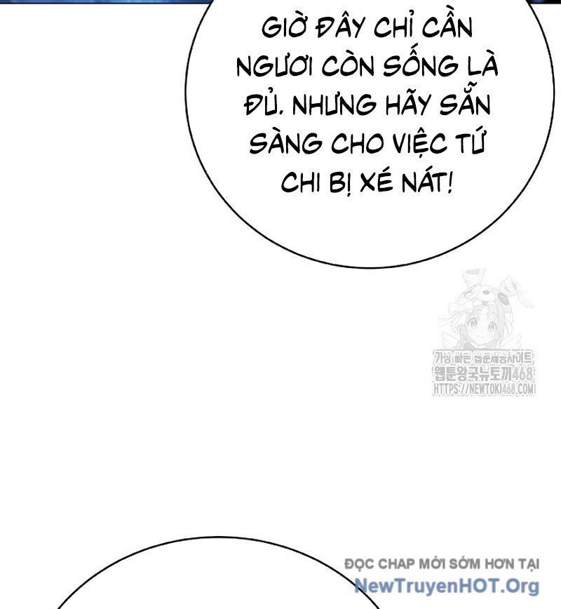 Chương 204