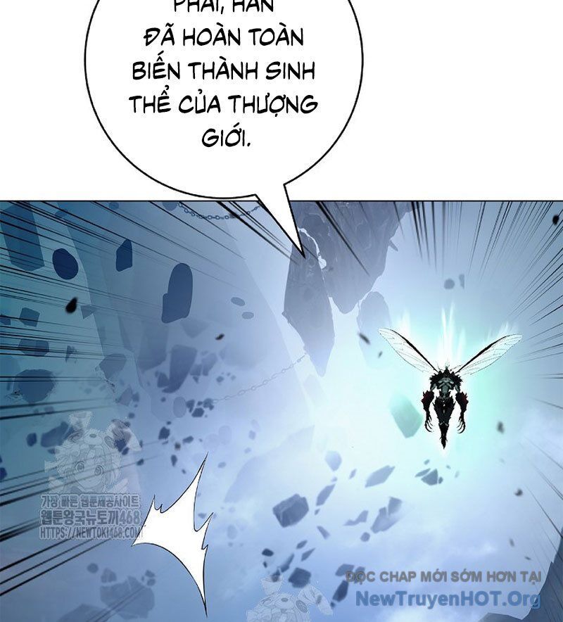 Chương 204