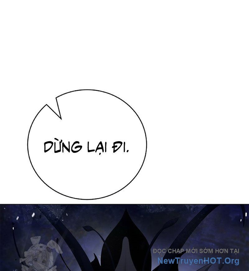 Chương 204