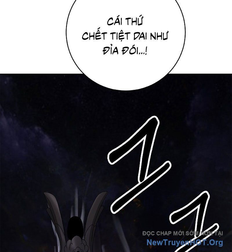 Chương 204