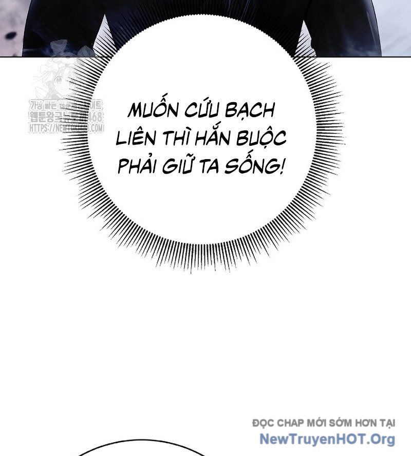 Chương 204