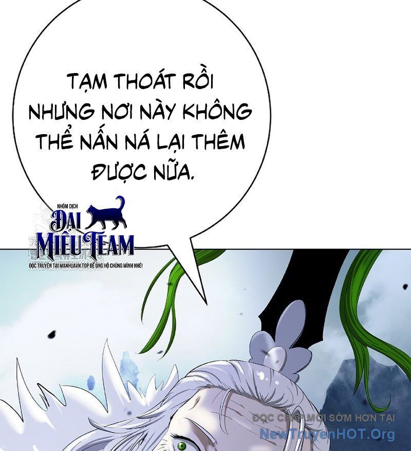 Chương 204
