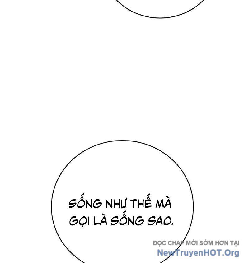 Chương 204