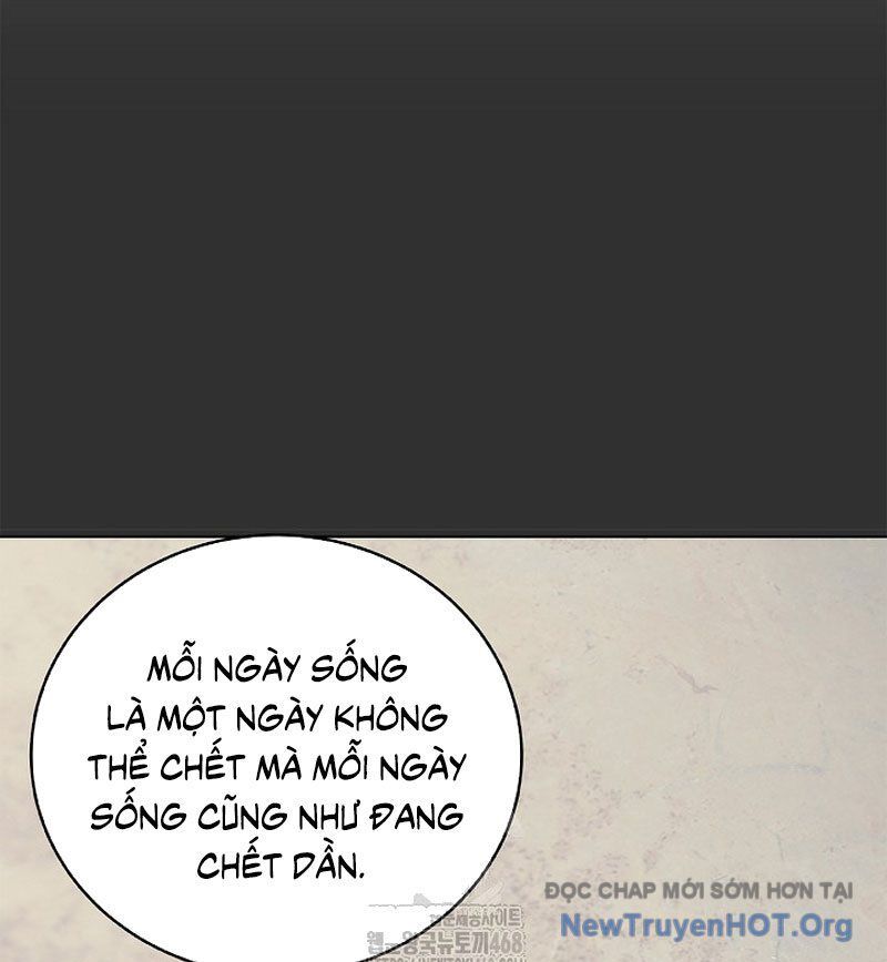 Chương 204