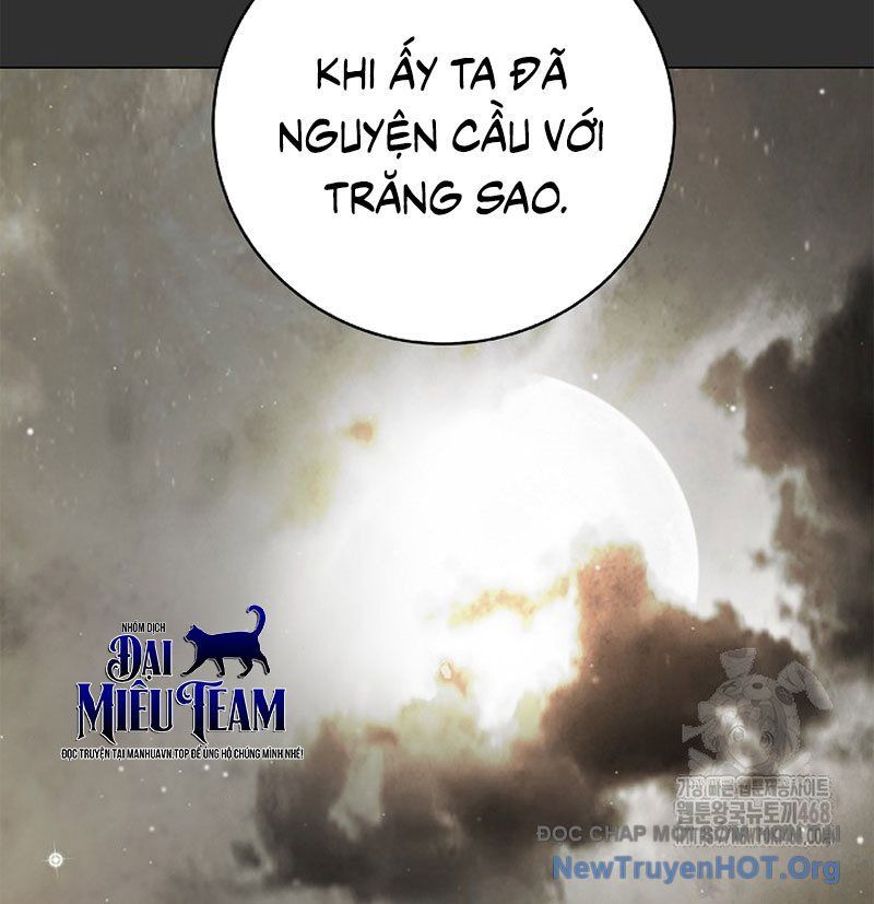 Chương 204
