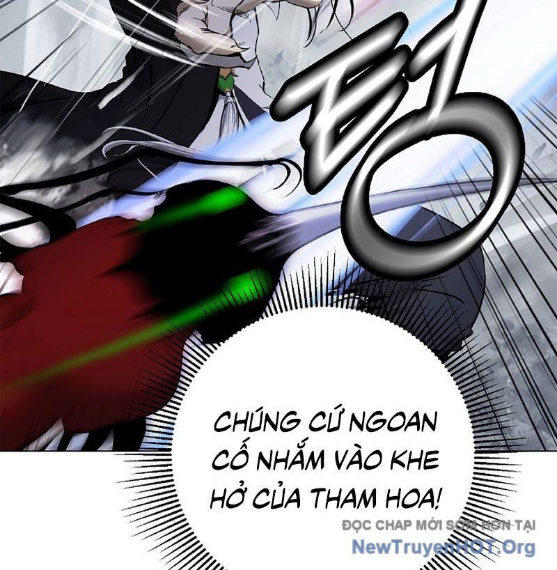 Chương 205