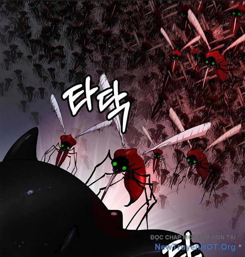 Chương 205
