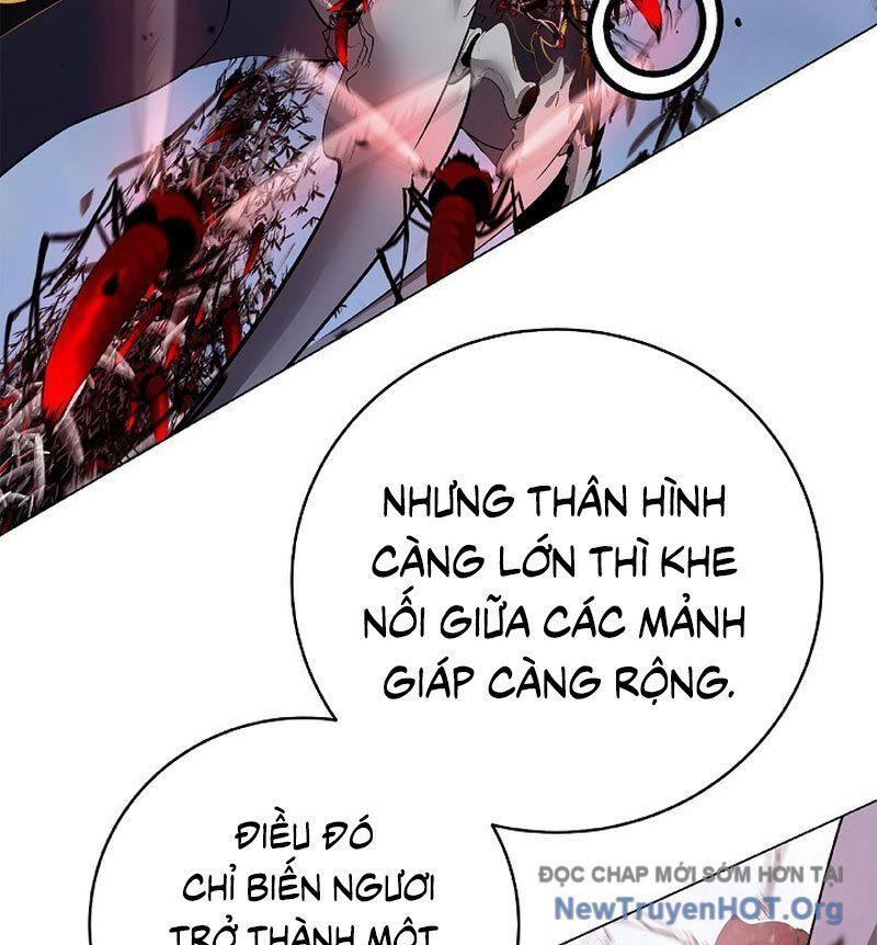 Chương 205