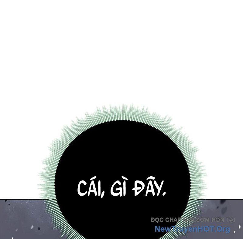 Chương 206