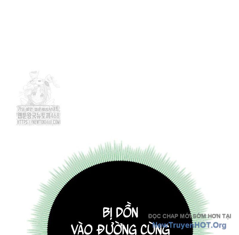 Chương 206