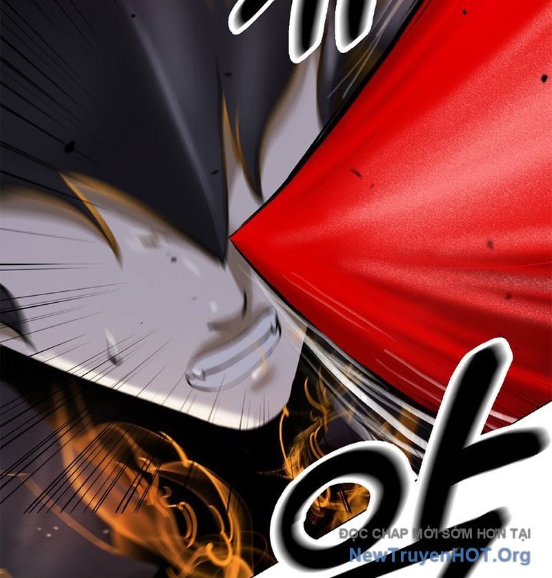 Chương 206
