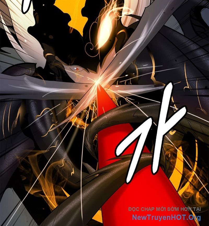Chương 206