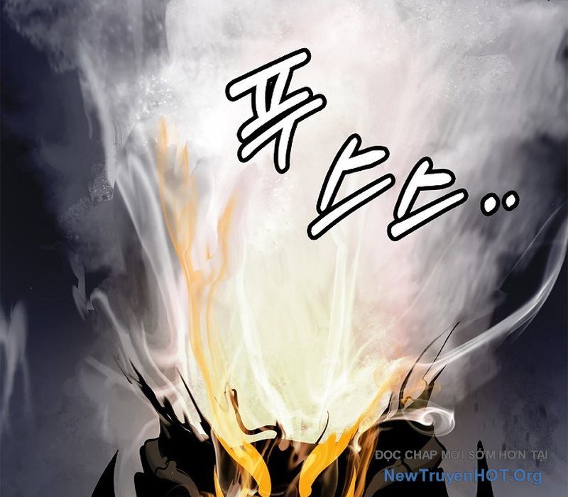 Chương 206