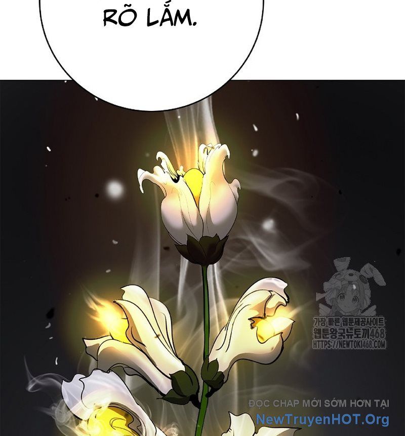 Chương 208