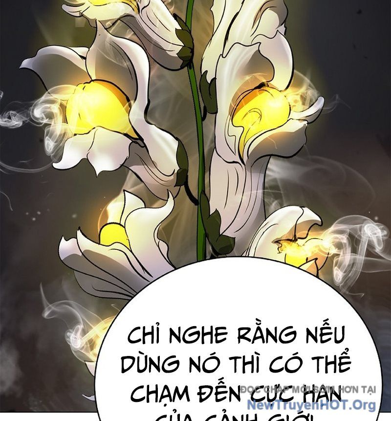 Chương 208