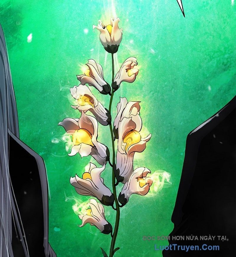 Chương 211