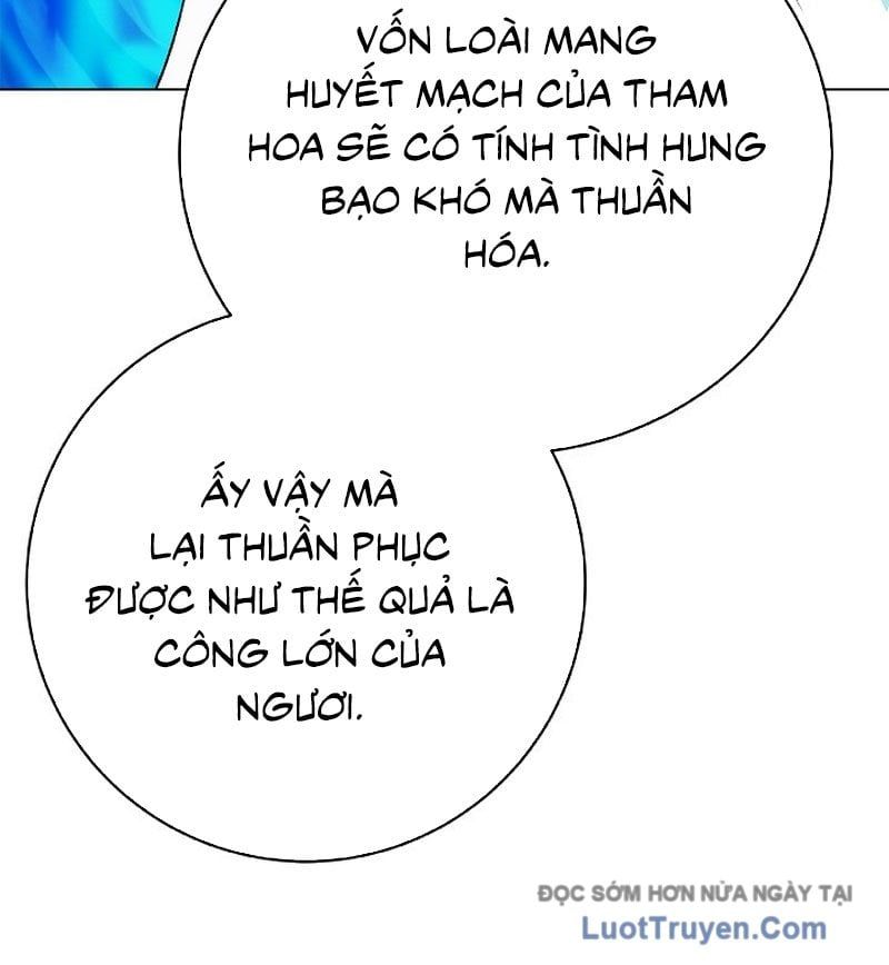 Chương 211