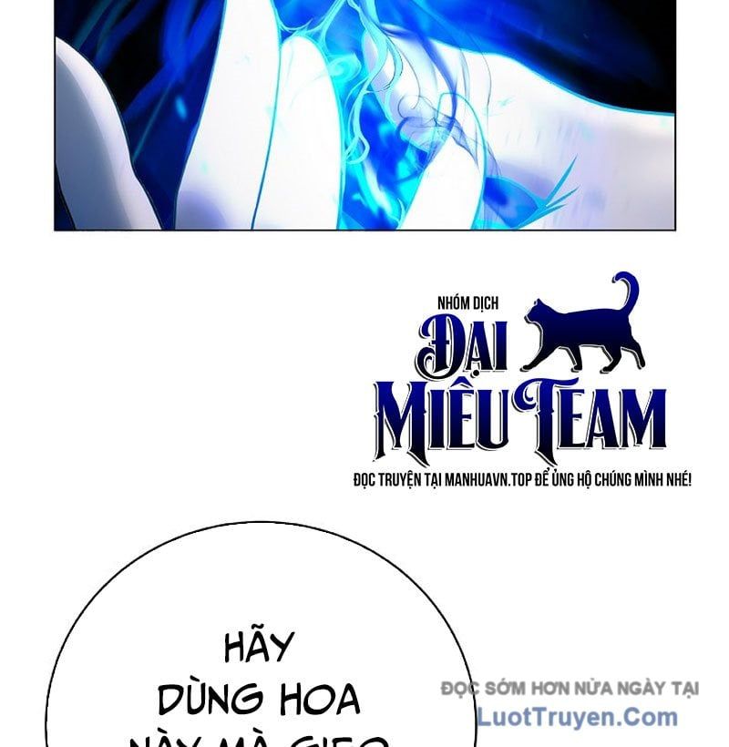 Chương 212