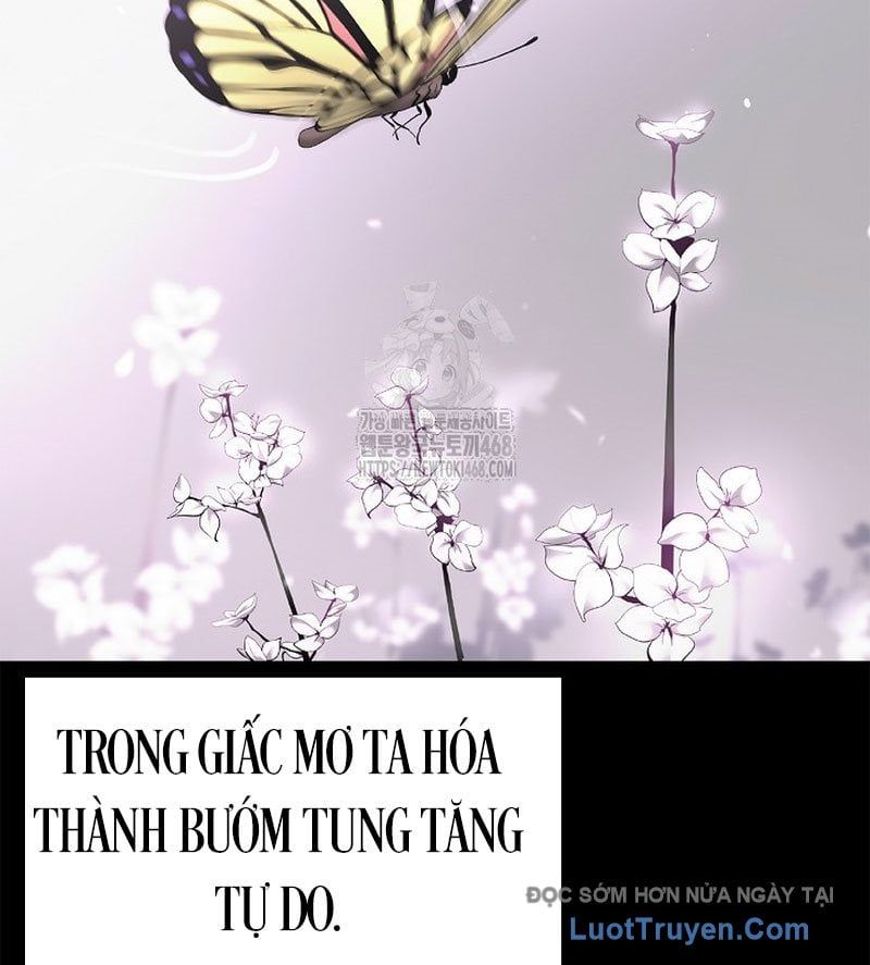Chương 213