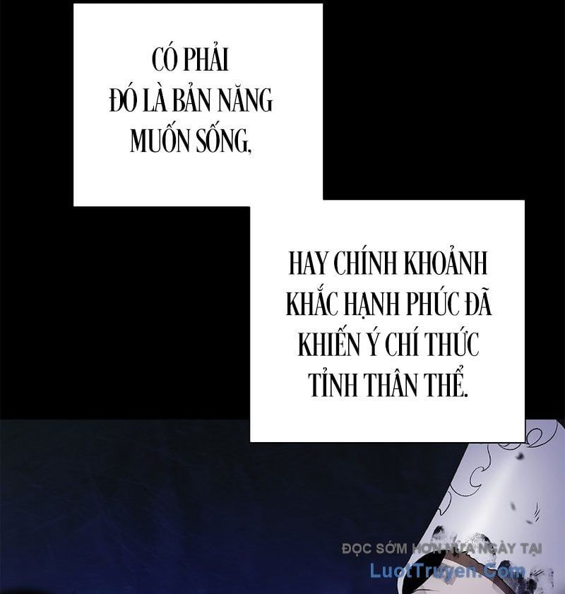 Chương 213