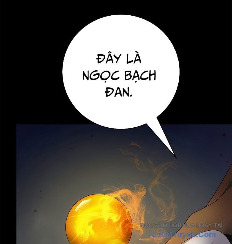 Chương 213