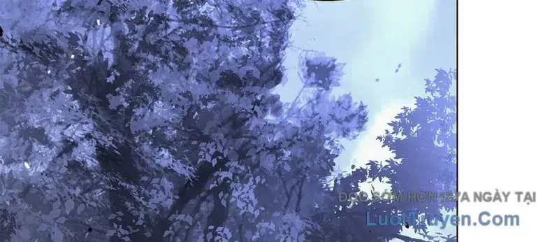 Chương 215