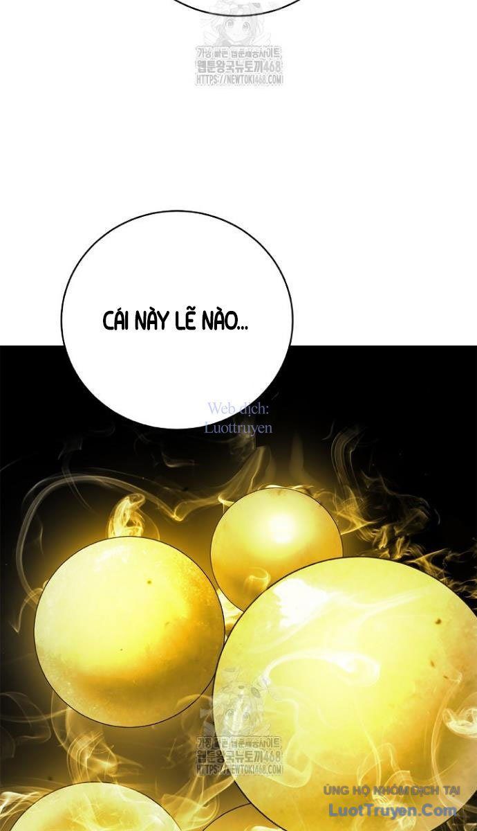 Chương 217