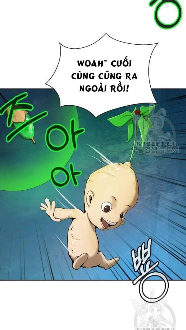 Chương 33