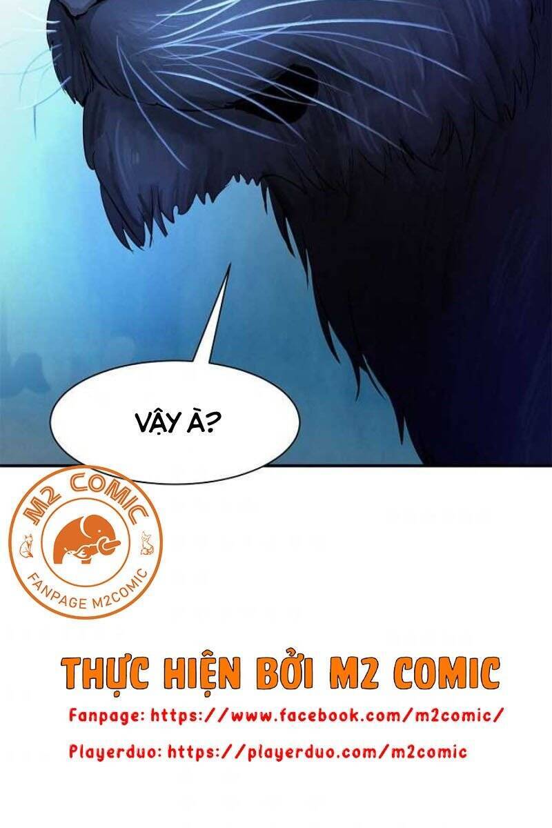 Chương 5