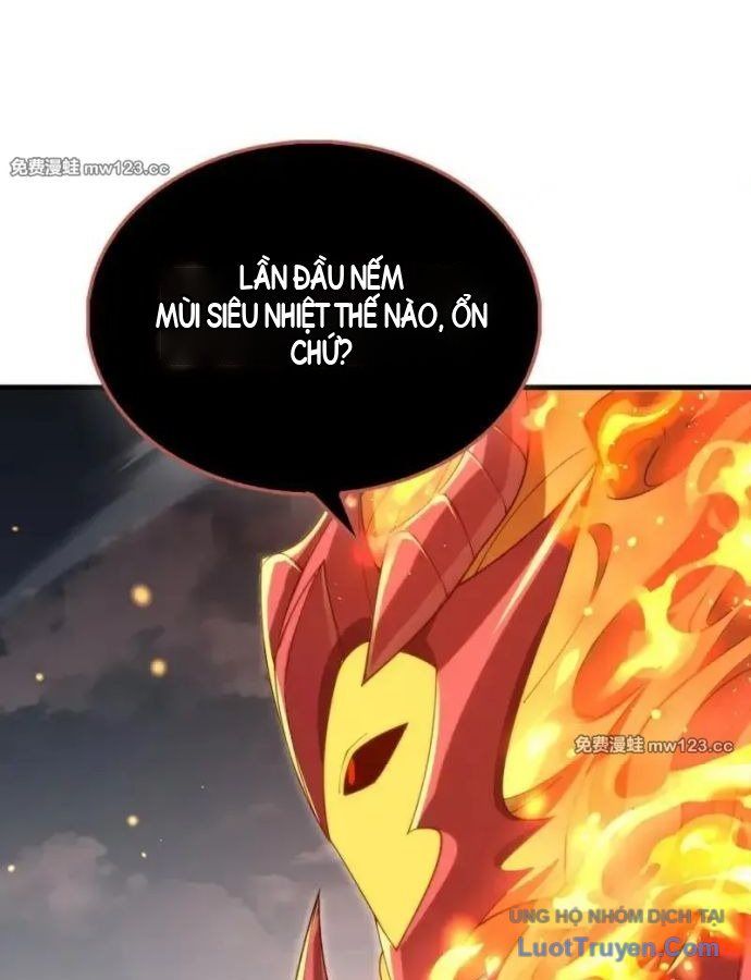 Chương 204