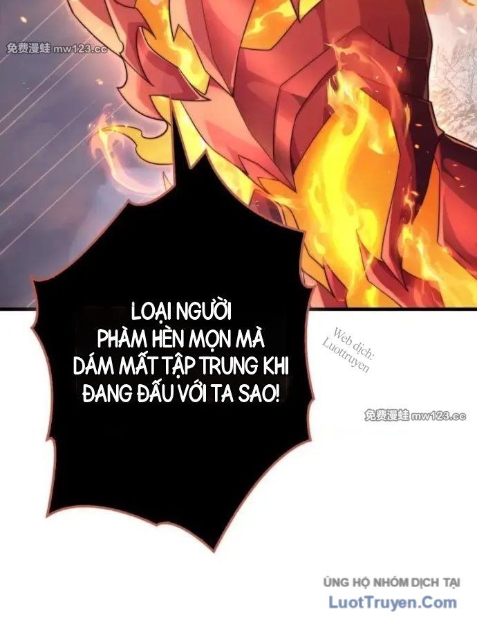 Chương 204