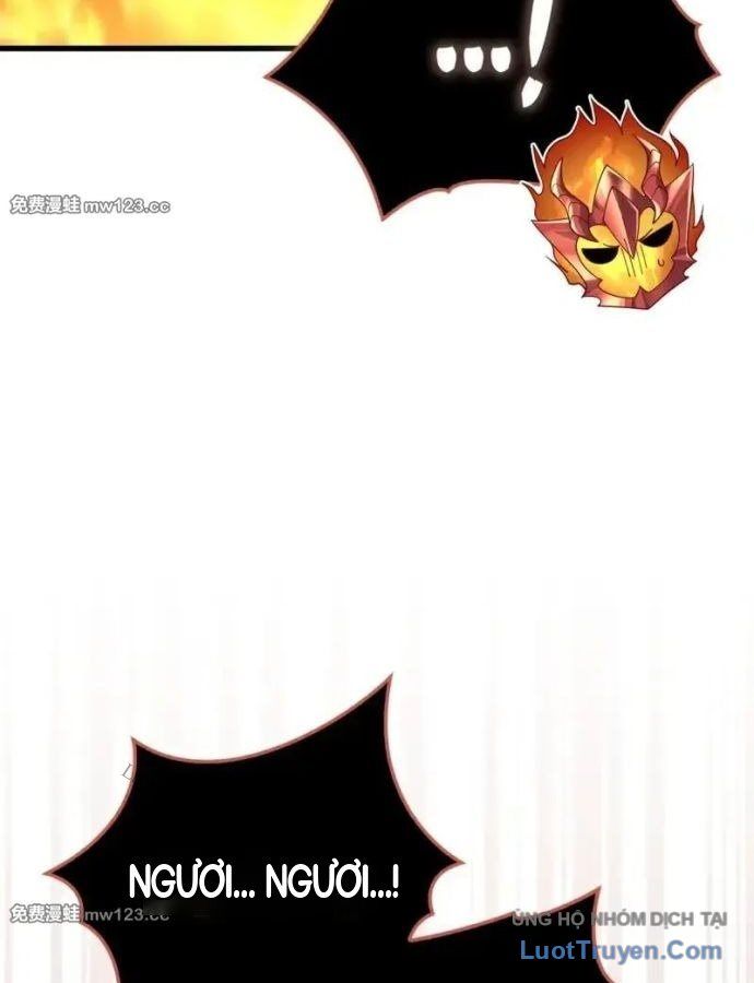 Chương 204