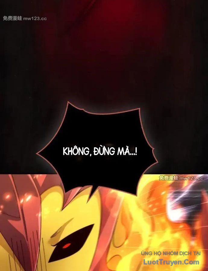 Chương 204