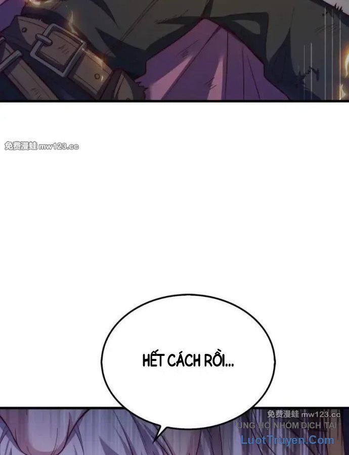 Chương 204