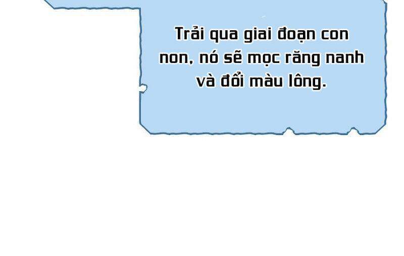 Chương 31