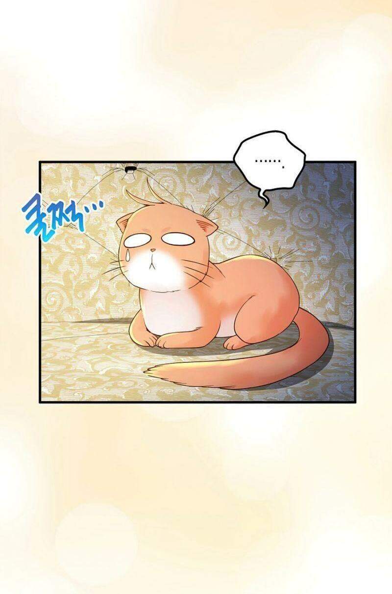 Chương 39