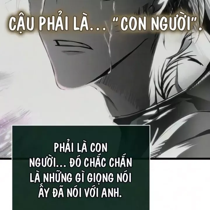 Chương 244