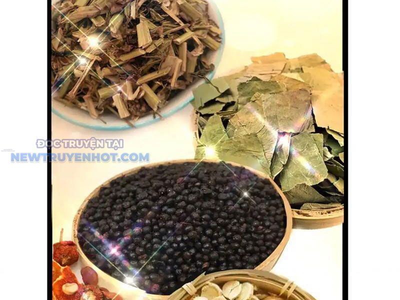 Chương 164