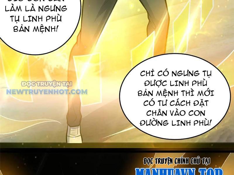 Chương 204
