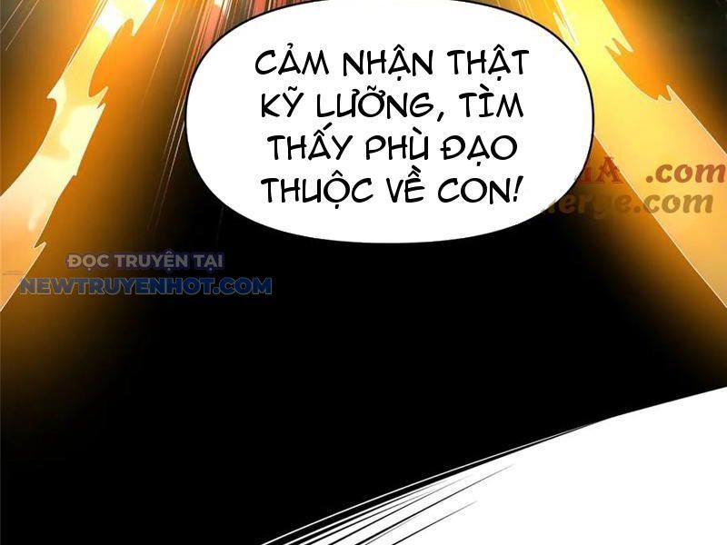 Chương 204