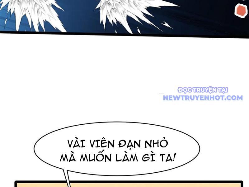 Chương 228