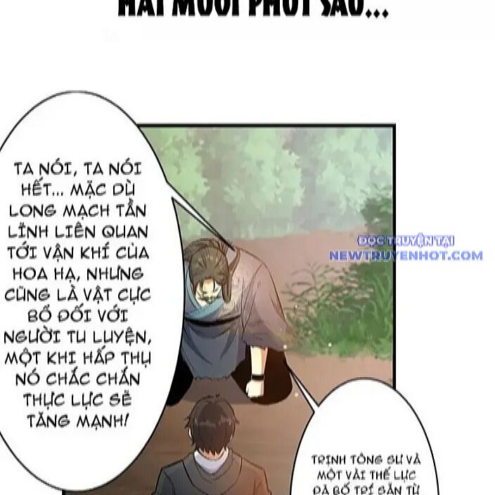Chương 229