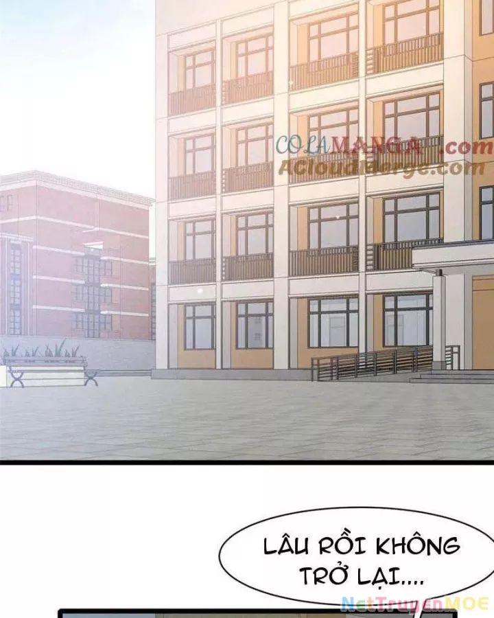 Chương 240