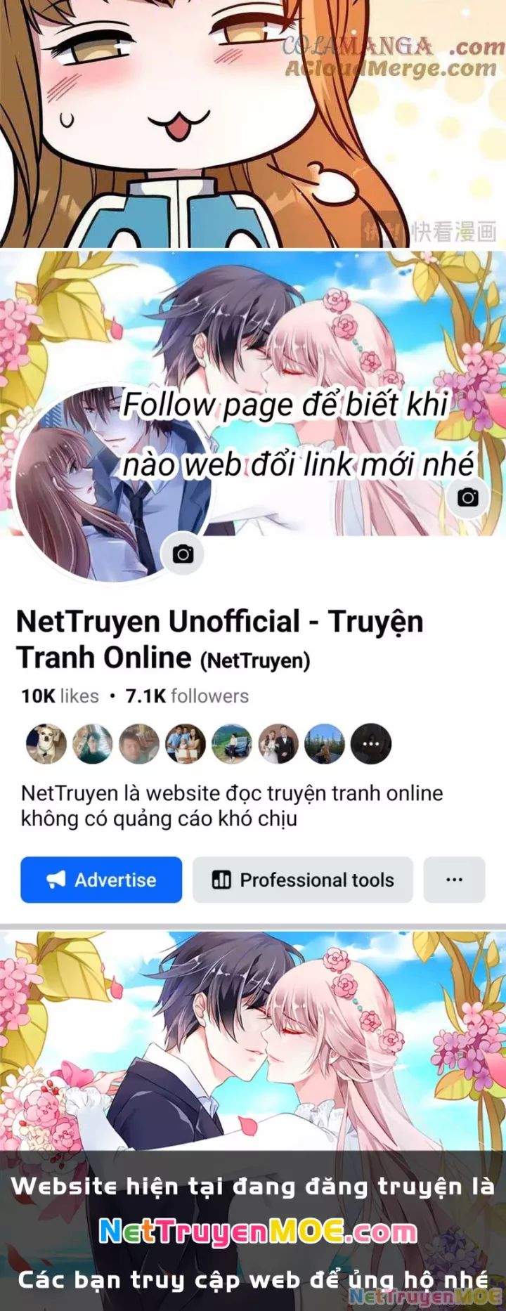 Chương 240
