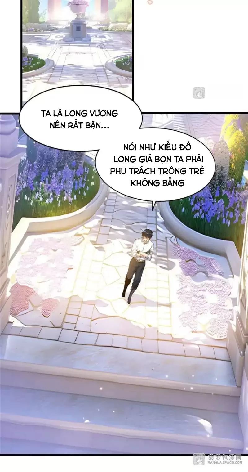 Chương 5