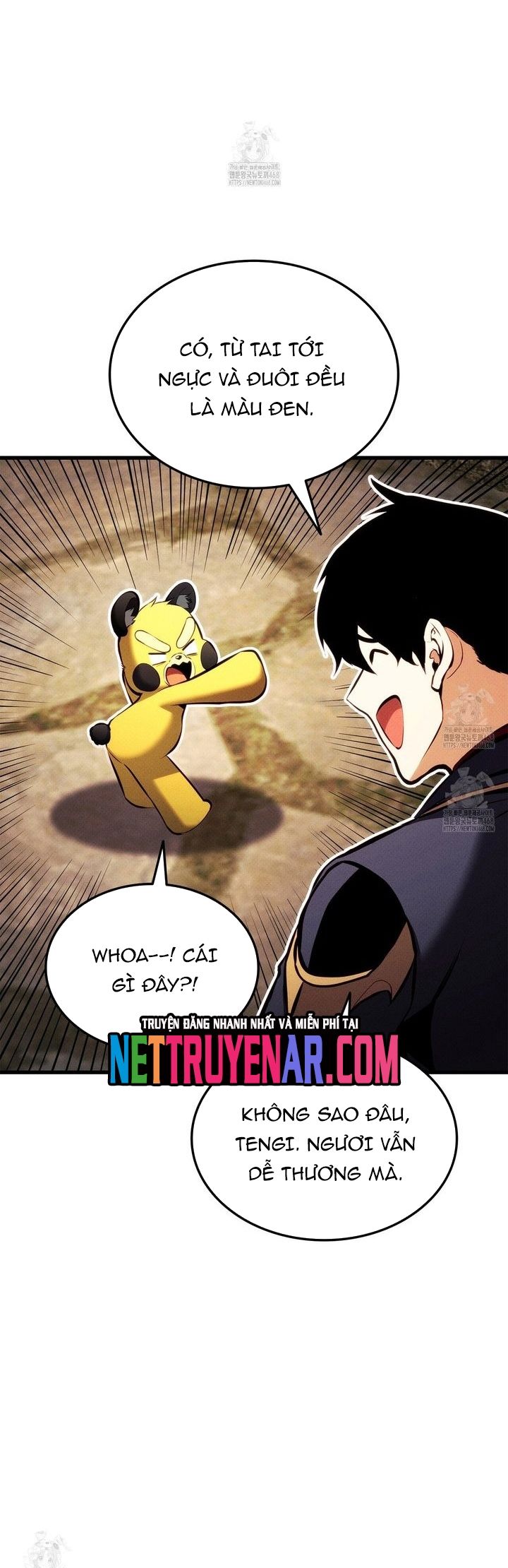 Chương 206