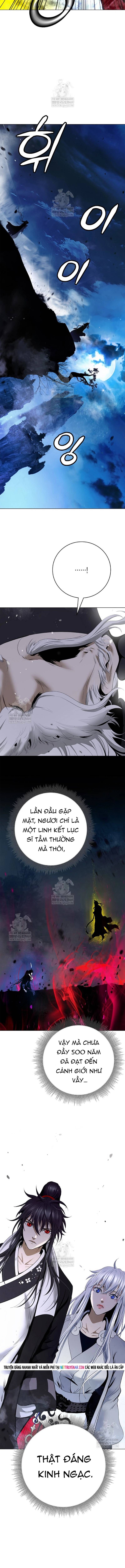 Chương 229