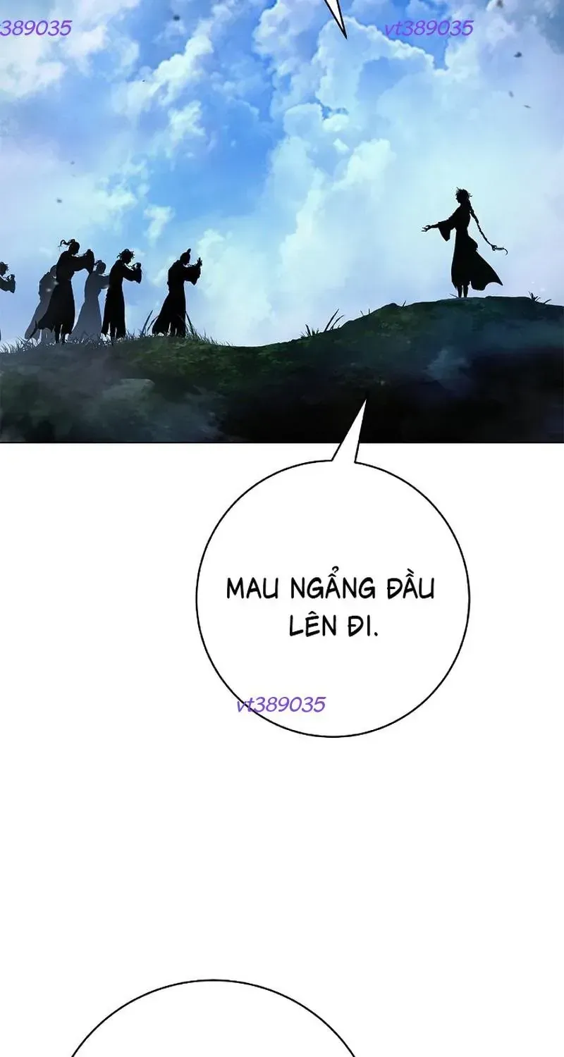 Chương 239